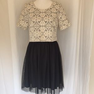 Weston Embroidered Cream Gray Mesh Dress sz M